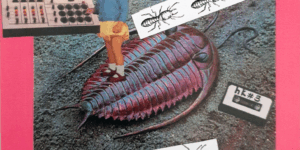 hobbykeller festival notausgabe